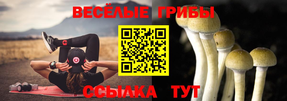 Псилоцибиновые грибы Psilocybine cubensis  Галлюциногенные грибы Psilocybe  Вход с VPN  где купить   Тосно 